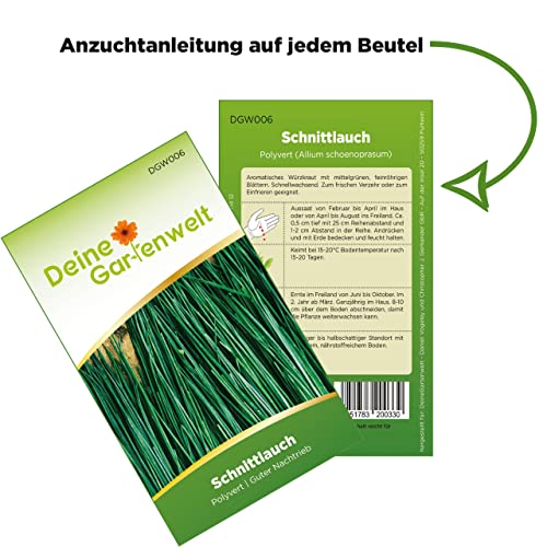 Schnittlauch Polyvert Samen - Allium schoenoprasum - Schnittlauchsamen - Kräutersamen - Saatgut für 300 Pflanzen - Image 4