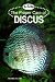 The Proper Care of Discus