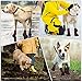 Hundeschuhe pfotenschutz mit Anti-Rutsch Sohle, reflektierendem Riemen, Klettverschluss wasserdicht Schneeschuhe für mittelgroße große Hunde 4 Stück Rot XS