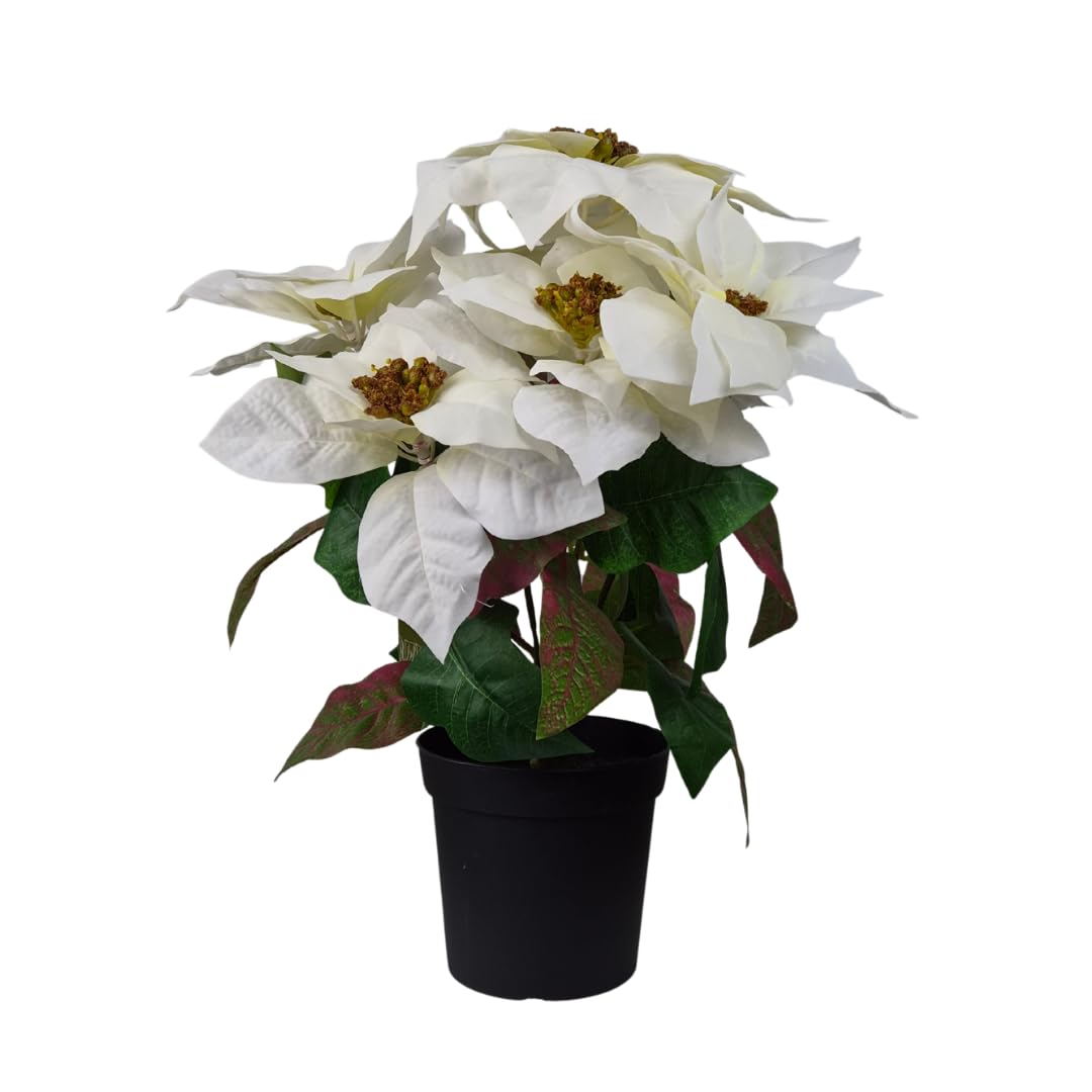 GreenBrokers Artificial White Poinsettia Christmas Flower Plant in Pot 46cm/18in