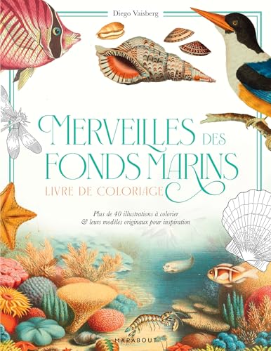  Merveilles des fonds marins: Plus de 40 illustrations à colorier & leurs modèles originaux pour inspiration: 31612