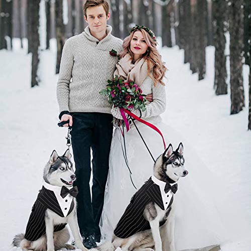 Kuoser Dog Tuxedo Dog Suit And Bandana Set, Dogs Tuxedo Wedding Party Suit, Dog Prince Wedding Bow Tie Shirt Formal Dog Wedding Attire For Large And Medium Dogs Golden Retriever Samo Bulldogs #TOP5