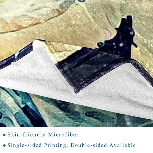 Couverture douce et confortable en microfibre premium 150x200 cm - 3