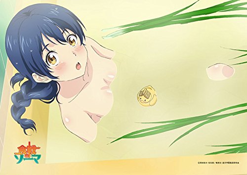 Amazon.co.jp: 食戟のソーマ お風呂タペストリー : おもちゃ