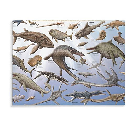 Teacher Poster Prehistoric Marine Life Knowledge Science Modern Room Wall Decoration Canvas Wall Art Prints For Wall Decor Room Decor Bedroom Decor Gifts 24X32Inch(60X80Cm) Frame-Style #TOP7