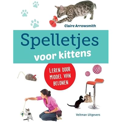 Spelletjes voor kittens