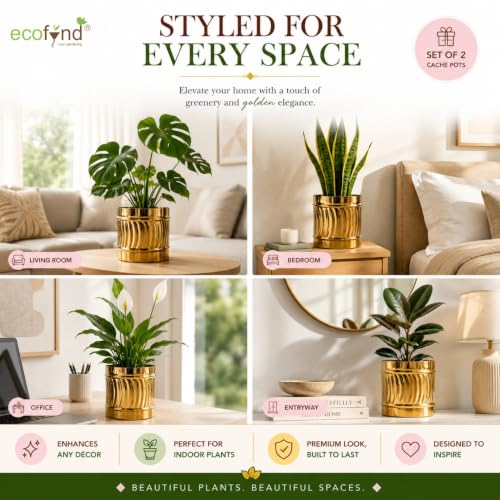 Image of ecofynd 2 Pack Metal Plant Pots (6 inch, 7 inch L), Indoor Small Planter Flower Pots, Home Garden Decor Planter for Living Room Bedroom Interior (Gold Finish, POT050)