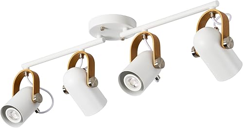 Luz de pista ajustable