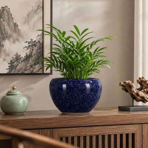 Pot de fleurs en céramique violet pour protéger les succulentes du dessèchement - 5