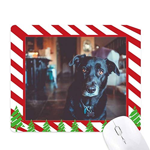 Tapis de souris chien noir compagnon fidèle pour vos fêtes de Noël