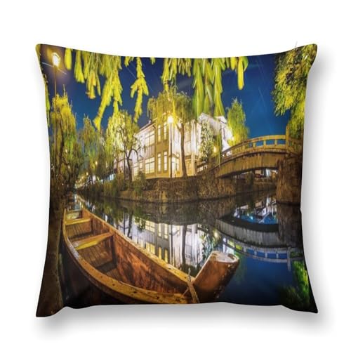 銀山温泉流行両面印刷枕カバー腰部枕カバー室内ソファー四季通用抗菌防臭快適な手触り誕生日クリスマスプレゼント枕カバー抱き枕カバー18 "x18 "