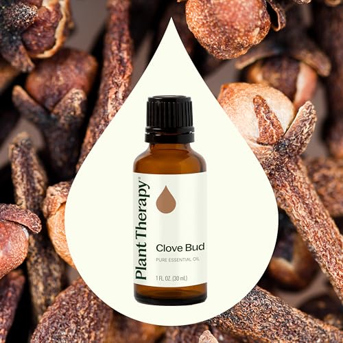 Aceite Esencial de Clavo Bud Plant Therapy 30 mL miniatura 3