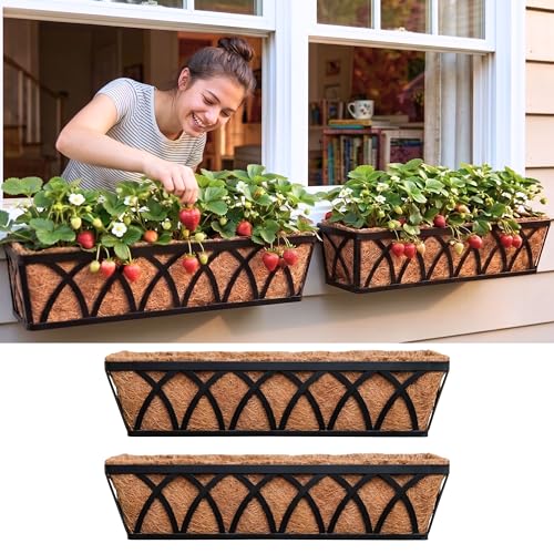 LáLáGreen Macetas para colgar en la pared, 2 unidades, 76,2 cm, con forro de coco, ventana de metal, jardinera para colgar en casa, exterior, balcón, cesta, soporte para plantas,