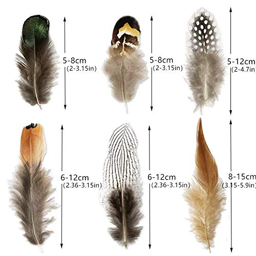 180Pcs 6 Style Natural Feathers Assorted Mixed Feathers For Dream Catcher Crafts Decoration (6 Styles/180 Pcs) #TOP6