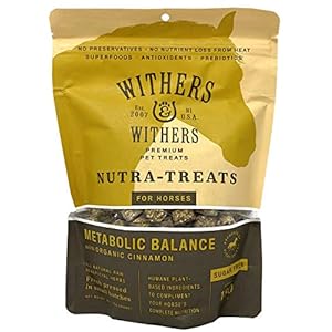 Withers & Withers Sugar-Free Horse Treats – Organic Cinnamon with Oat Bran Horse Cookies, Goat Treats 16 Oz – Humane Plant-Based Ingredients