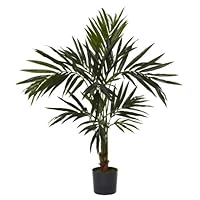 Algopix Similar Product 5 - Nearly Natural 5340 Kentia Silk Tree