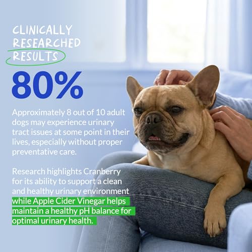 Image of Cranberry Supplement for Dogs 120 Chewable Tablets - Urinary Tract Support