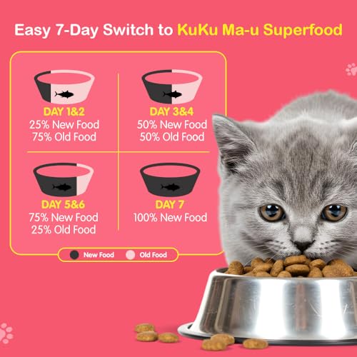 Image of M&K Kitten Cat Food - Tasty & Magic Flavour | Complete & Balanced Dry Food for Growing Kittens | Supports Healthy Growth, Strong Bones & Immunity | High Protein Nutrition | Crunchy Kibble | 2.4 Kg