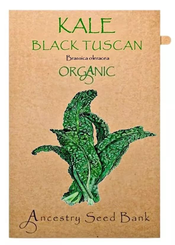 Organic Kale ❁ Black Tuscan ❁ 100 Seeds Heirloom - Non GMO