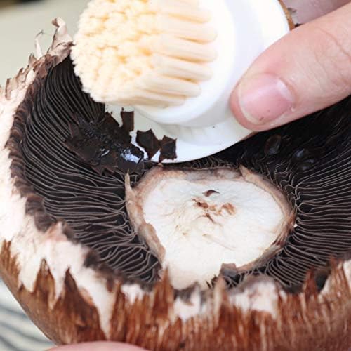 Full Circle 2 in 1 Mushroom Cleaning Brush, Nylon, White