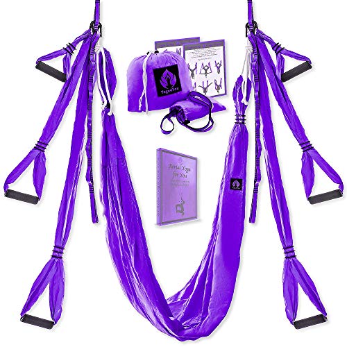 Aerial Yoga Swing Set - Yoga Hammock Trapeze Swing - Trapeze Yoga Kit - Flying Yoga Inversion Tool - Antigravity Ceiling Hanging Yoga Sling - Adult Kids Arial Door Yoga Swing (Purple)