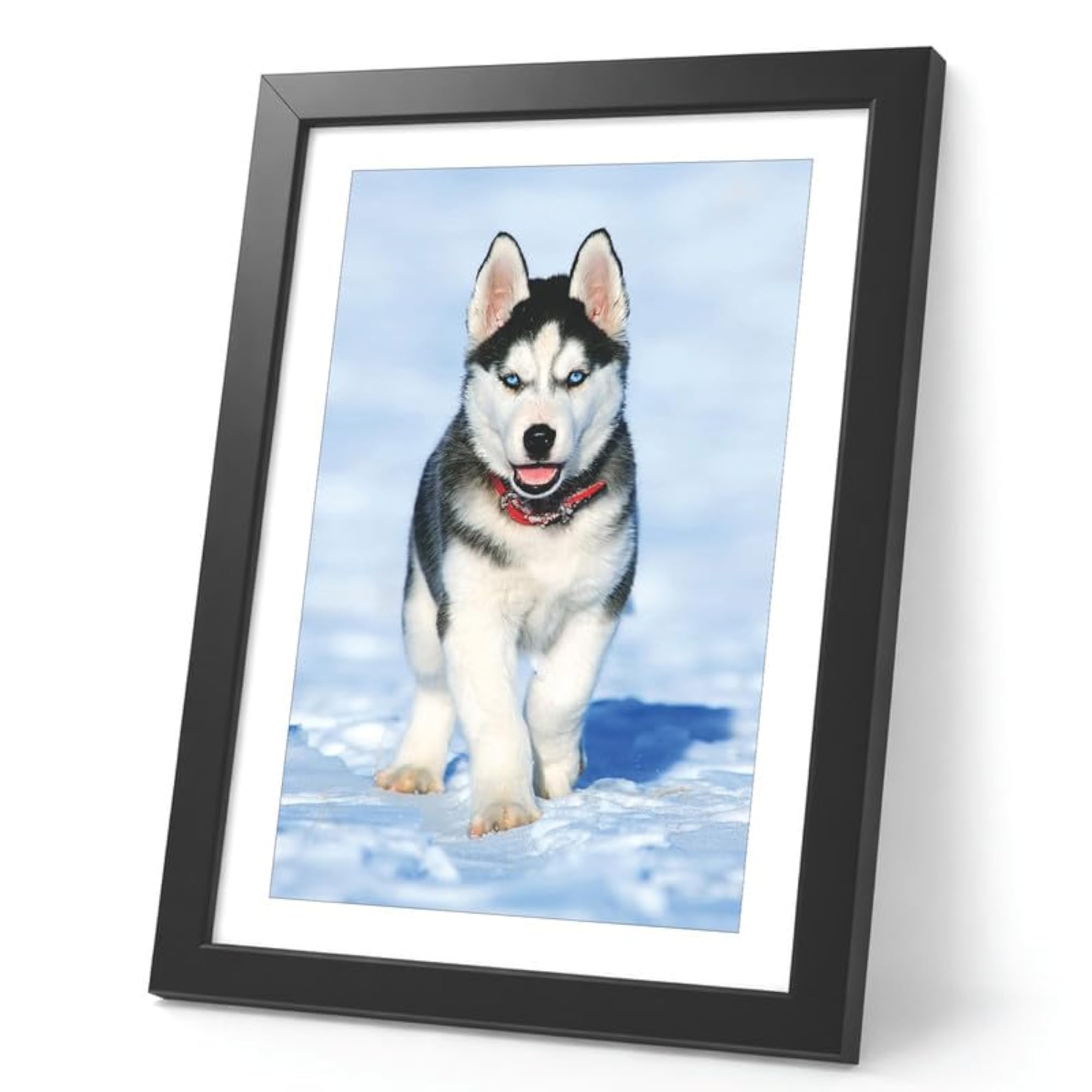 Husky Dog Frames for Wall, Gift for Dog Lovers