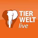 schnee von morgen webTV GmbH