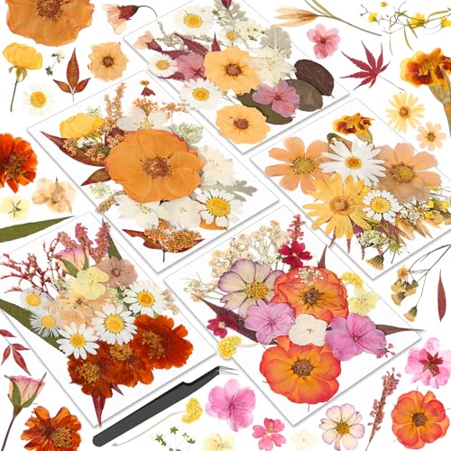 Image of Dried Pressed Flowers for Resin, Real Pressed Flowers Dry Leaves Bulk Natural Herbs Kit for Scrapbooking DIY Art Crafts Epoxy Resin Jewelry Mold Candle Soap Making Nails Decor (Boho Pressed Flowers)