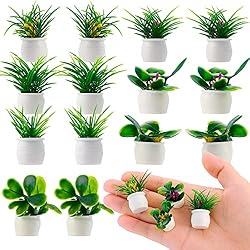Macetas Jardin De Hadas cobee Juego de Plantas en Miniatura para casa de muñecas, 14 piezasp lanta bonsái 1:12 Mini Plantas en Maceta Modelo de Flores Adorno de jardín decoración de Hadas