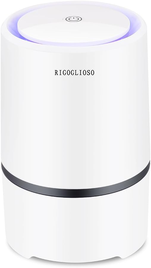 Air Purifier for Home with True HEPA Filters,Low Noise Portable Air Purifiers with Night Light,Desktop USB Air Cleaner
