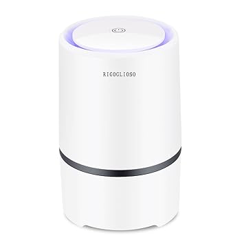 RIGOGLIOSO Air Purifier for Home with True HEPA Filters,Low Noise Portable Air Purifiers with Night Light,Desktop USB Air Cleaner