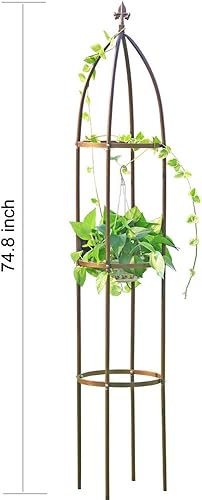Miniatura 6 de Enrejado de jardín de obelisco 100% metálico de 6.3 pies de alto, soporte resistente para plantas para enredaderas y soportes de flores, 1 pieza