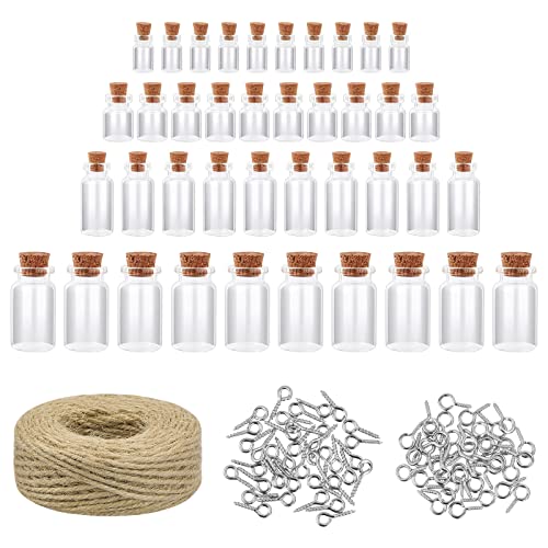 Botellas 40 Piezas Mini Botellas de Cristal 1,5ml 5ml 6ml 10ml, Pequeñas Botellas de Vidrio con Corcho y Ganchos, Botellas de Deseo...