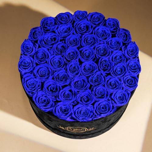 47 Flowers in a Luxury Suede Box, Birthday Gifts for Women, Preserved Flowers, Mothers Day Roses Gift for Mom,Blue
