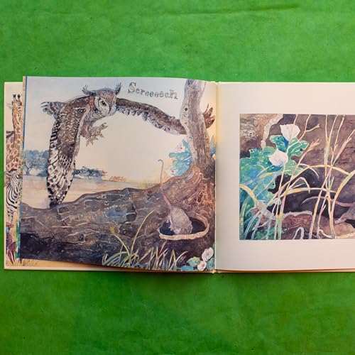 Image of The Lion & the Mouse (Caldecott Medal Winner)