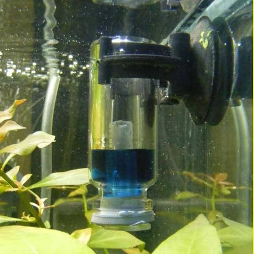 Image of 15Pcs Fish Tank Suction Cup Clips Aquarium Suction Cup Clips Soft Fish Tank Suction Cup Clip Sucker Black Air Hose Holder Clamp Accessories for Tank Pump Overhead Line Tube Fish Tank Aeration Setup