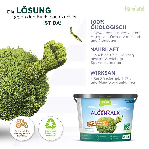 halmland Algenkalk tegen buxusmot - Verbazingwekkende versterking van de buxus met profylaxe en redding bij aantasting… - Image 3