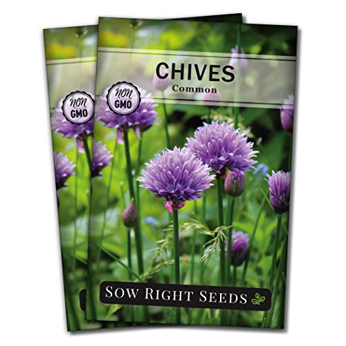 Sow Right Seeds - Common Chives Seed for Planting - Non-GMO Heirloom Packet with Instructions to Plant and Grow Kitchen Herb Garden Indoor or Outdoor - Mild Onion Flavor (2)
