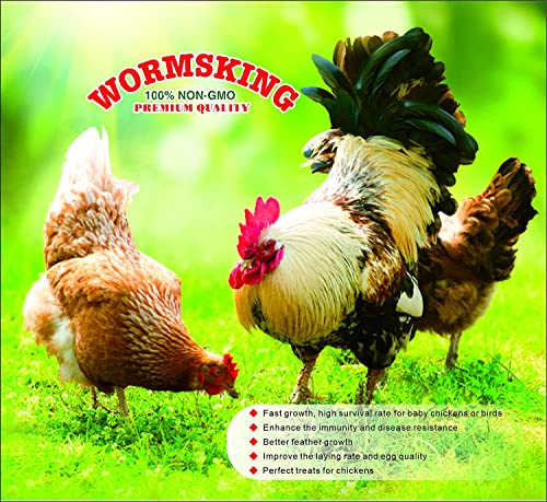 Wormsking 5.5Lb Non-Gmo Dried Black Soldier Fly Larvae, High Calcium Worms For Chickens, High Protein Chicken Feed, Chicken Treat #TOP5