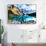 Yundu Puzzles de 1000 pièces pour adultes, puzzle de Moraine Lake