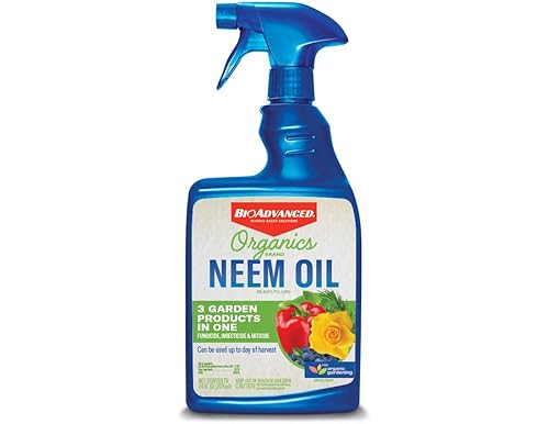 Protect Your Garden with the Best Neem Oil Products