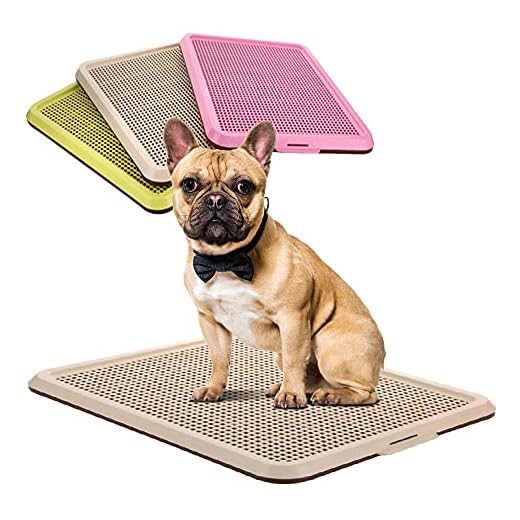 BANU Puppy Pee Pad Holder Indoor Outdoor Dog Potty Toilet Training Tray 20" x 16" for Small and Medium Dogs (Ivory)