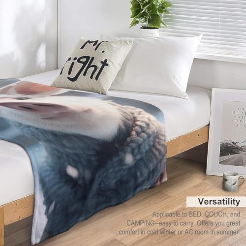 Couverture polaire lit toutes saisons, plaid doux imprimé cochon
