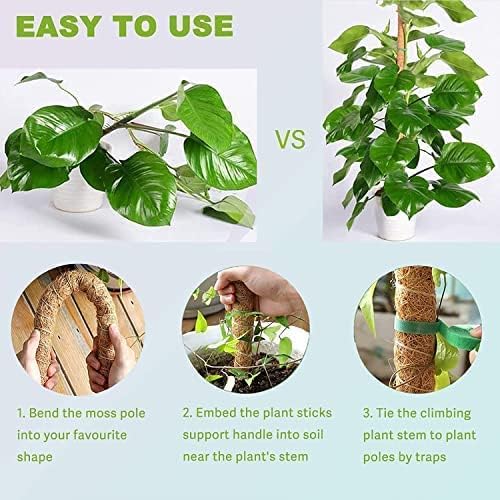 Image of Garden Art Premium 24 inch Moss Coir Pole | Stackable & Bendable Plant Support Stick for Monstera, Money Plant & Climbers | Strong Indoor Outdoor Plant Extension to Grow Upwards GABCP-60 (Pack of 1)