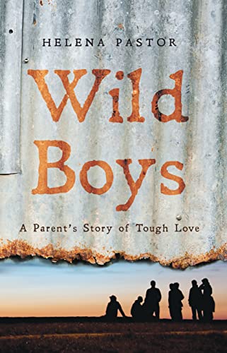 Wild Boys view 2