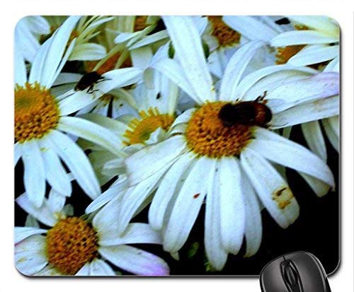 Preisvergleich Produktbild White Flowers Mouse Pad, Mousepad (Beaches Mouse Pad)