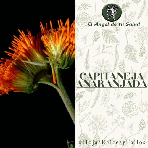 『El Ángel de tu Salud - Capitaneja Anaranjada**』のカバーアート