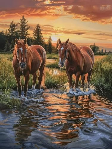 Diamond painting coucher soleil 5D peinture diamant adulte cheval DIY