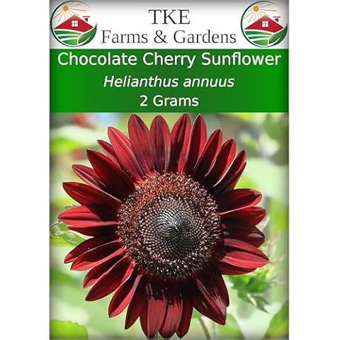TKE Farms - Chocolate Cherry Sunflower Seeds Cover