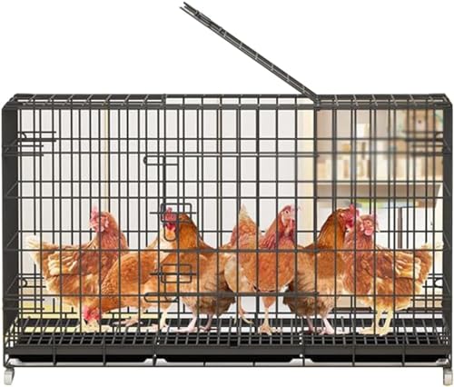 鶏用ケージ鶏舎の鶏小屋大鶏小屋家禽ケージ屋外の鶏小屋2つの巣箱付き家禽ケージ (60*43*50CM (2-4羽の鶏に適しています))